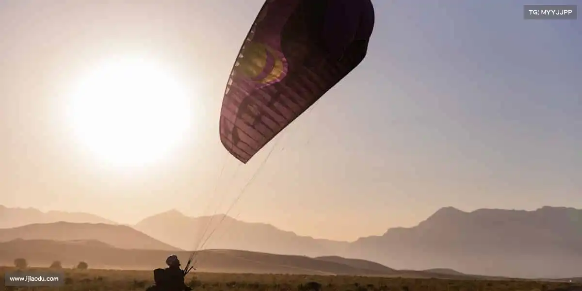 我们的品牌价值